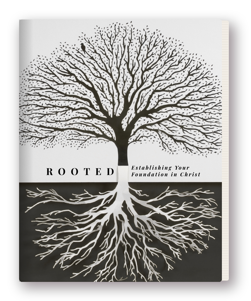 ROOTED journal in print